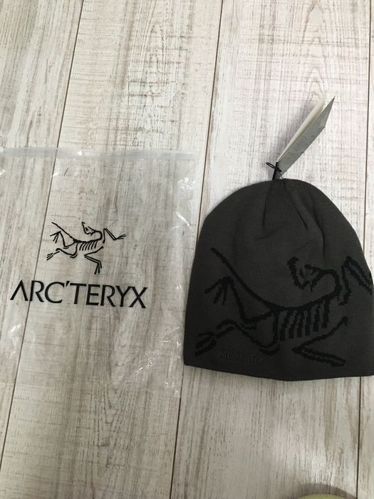 Caciula arcteryx