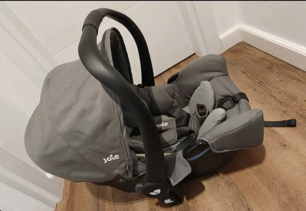 Scoica Joie noua bebelusi