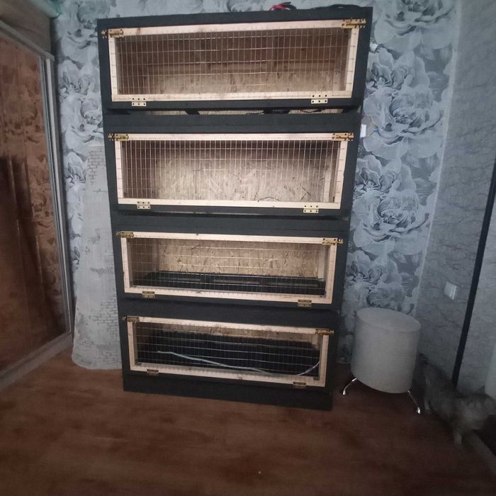 Изготавливаем клетки и брудеры для птицы разной, кроликов