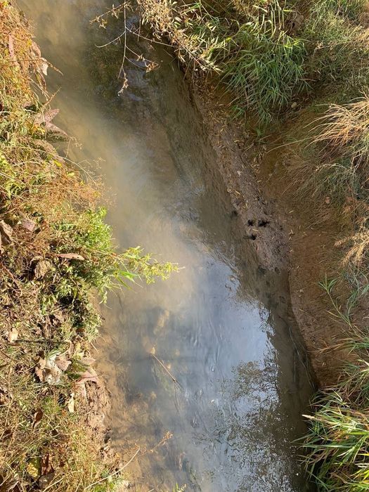 Ер сотилади Тошкент вилояти, Тошкент тумани, Мустакиллик махалласи
Ори