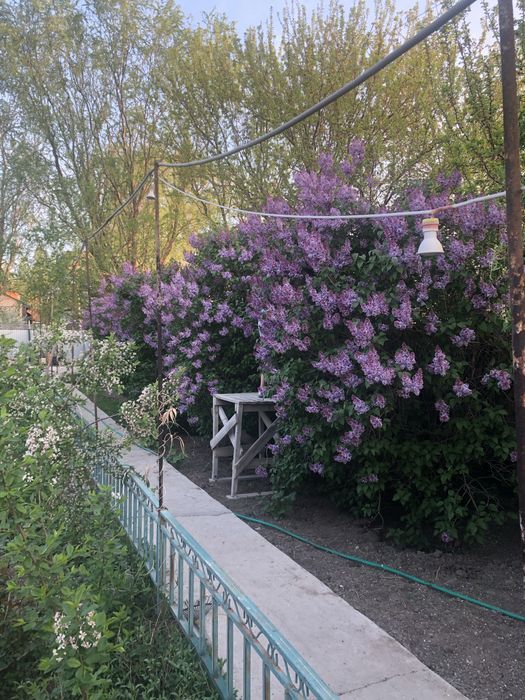 Продам земельный участок с домом
