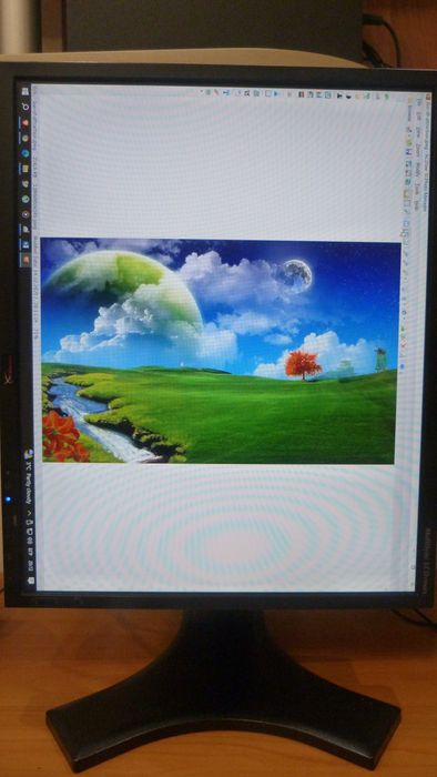 Професионален монитор NEC 1990FX