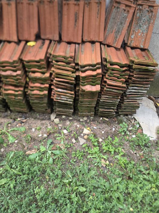 Подарявам.Намират се на 20км от Стара Загора