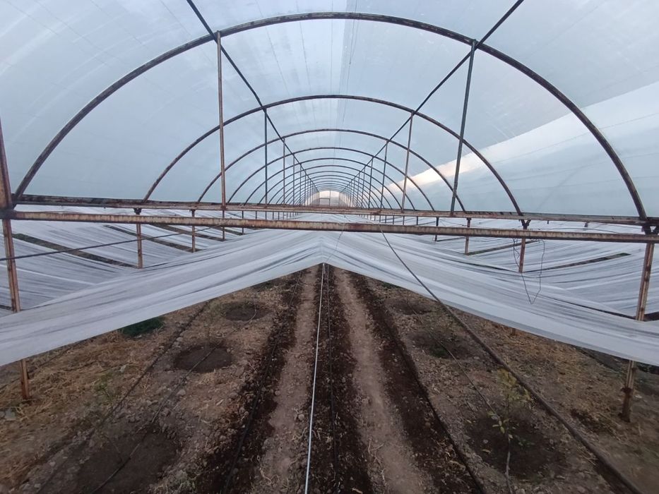 Продается теплица изготовлена из материала контейнера