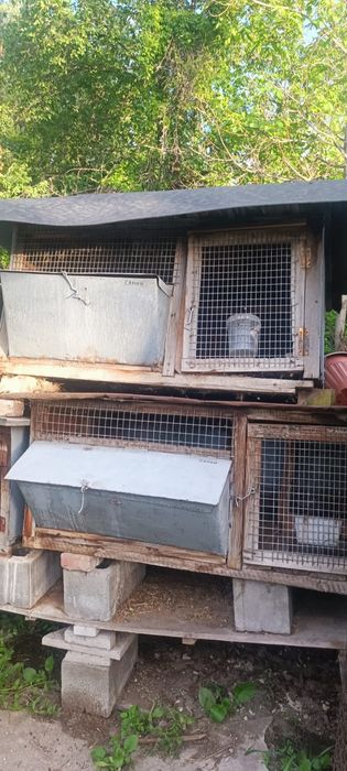Продам клетки для кролов