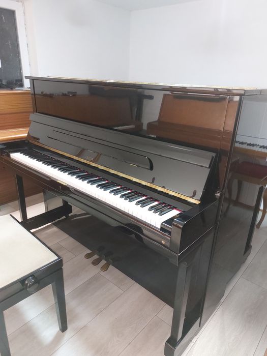 Piane & pianine   (transport gratuit în toată țara, gar