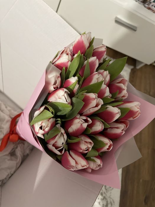 Продам тюльпаны цветы