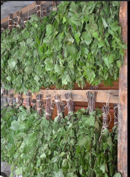 Берёзовые веники