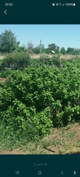 Продам дачу на СПП