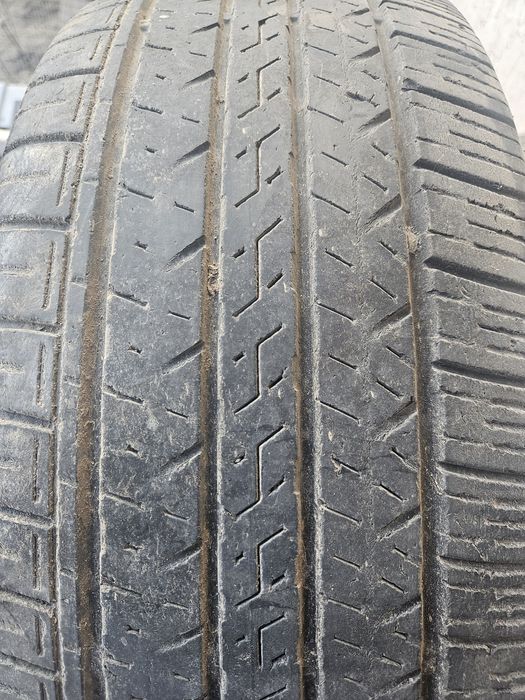 Шины летние данлоп