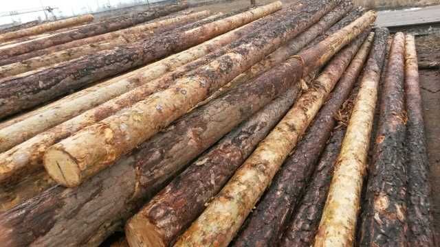 Продам деревянные опоры для ЛЭП