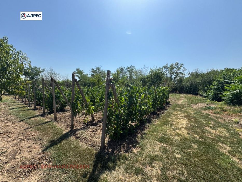 Продава се Къща в с. Търнак, Област Враца - 120 кв.м за 299 €/кв.м - Снимка #8