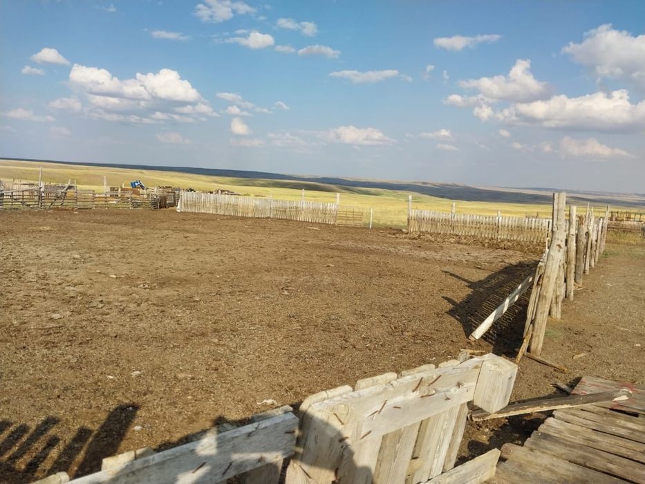 Продам крестьянское хозяйство