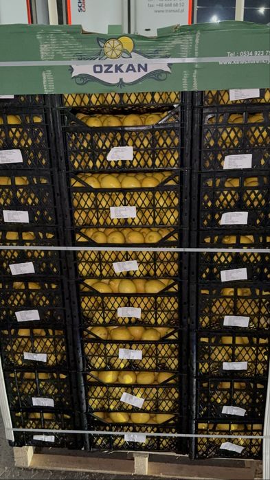 Лимон доя производства