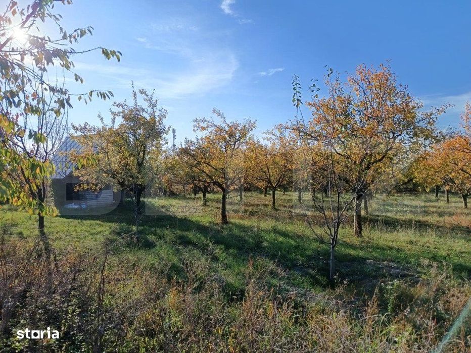 Teren Intravilan 3325 mp Magurele Prahova , Oportunitate !