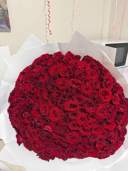 Голландские розы 201 штук,