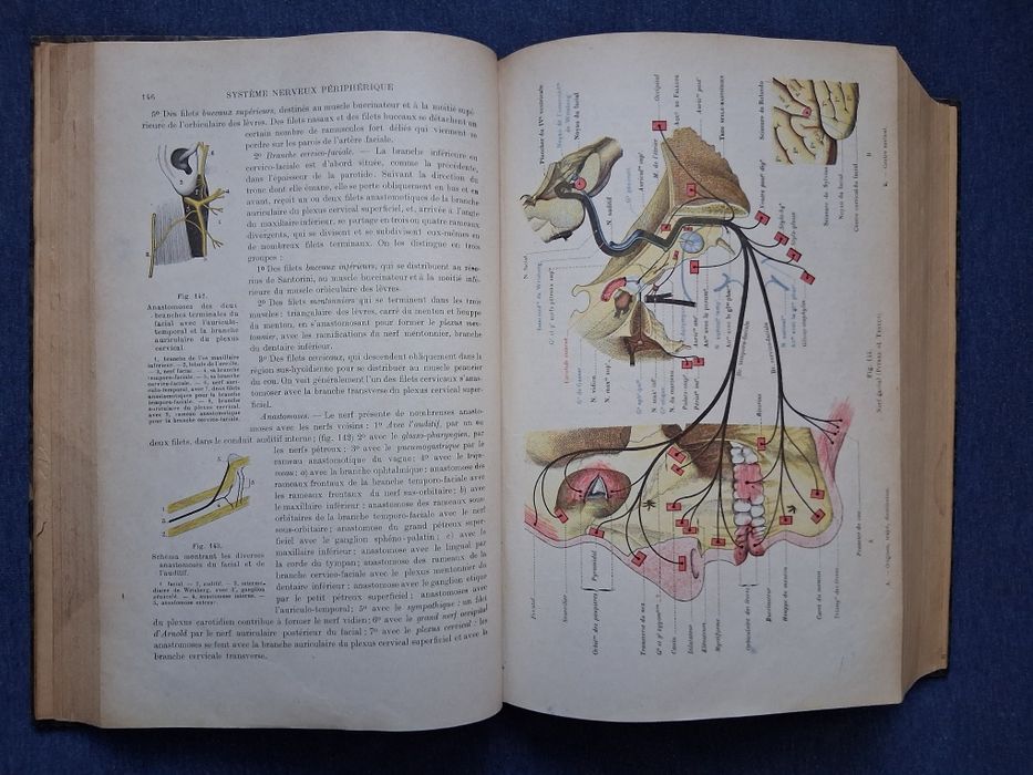 Антикварна Френска Книга по Медицина Човешката Анатомия 3 Том / 1930 год.