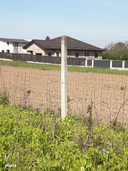 Vanzare teren 4000 mp Ulmi- Dambovita