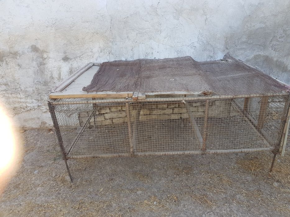 Курятник сотилади