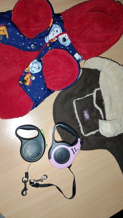Лот дрешки за куче и поводи
