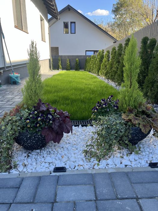 Amenajari Gradina Bacau