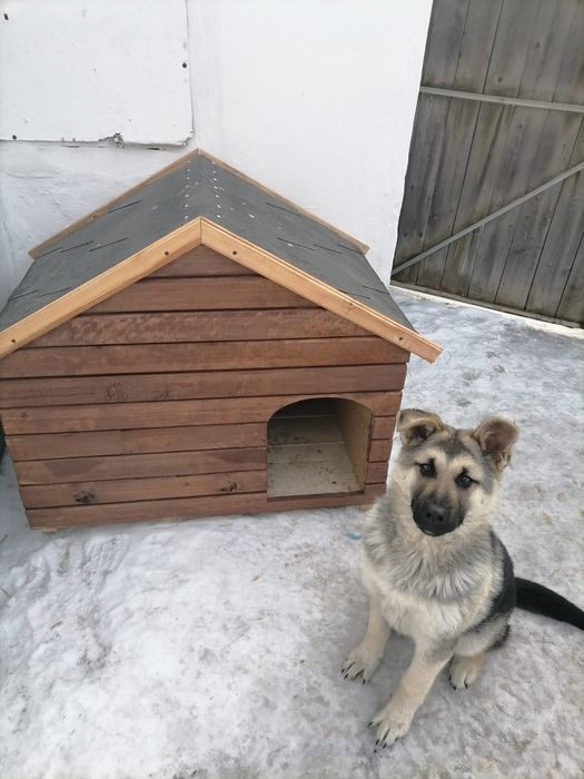 Будки для собак!