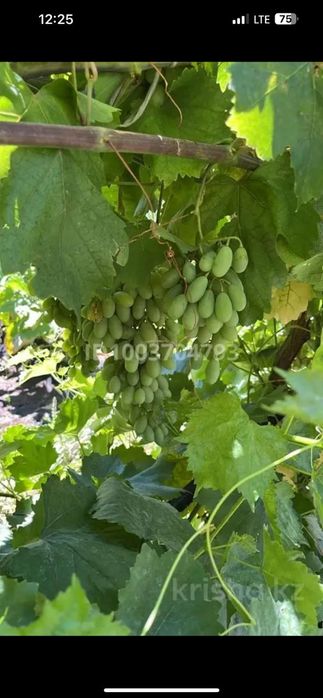 Продам дом на 81- квартале