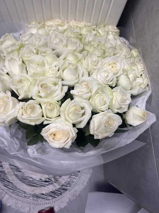 Продам розы 51 шт