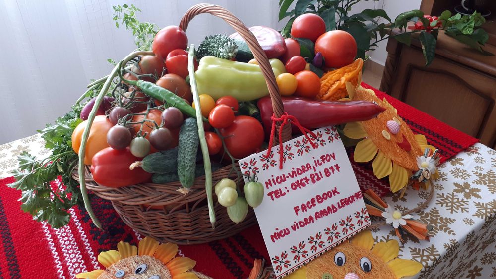 Vand Rasad Rosii Ardei Vinete Castraveti Varza | Rasaduri Legume 2026