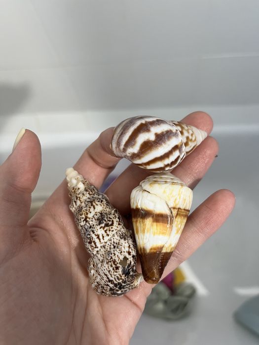 Корабль и камни для аквариума