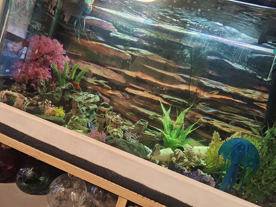 Аквариум с рибки действащ оборудван