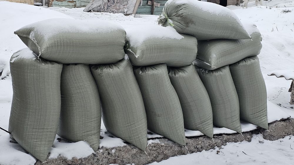 Продам зерноотходы