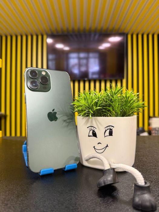 IPhone 13Pro Max,512GB,79%