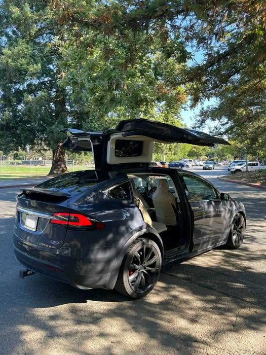 Tesla Model X 90D 7 мест  (все места электро)