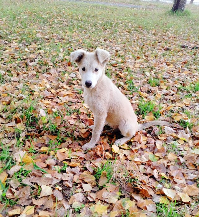 Очень добрая и ласковая девочка