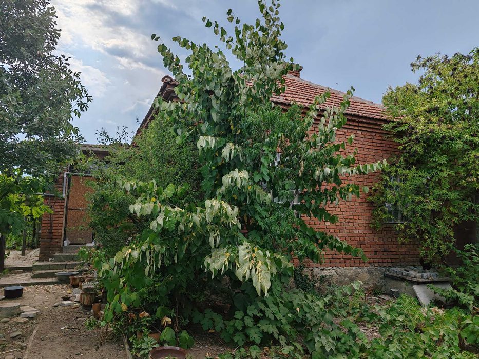 Продава се Къща в Николаево - 136 кв.м за 319 €/кв.м - Снимка #6