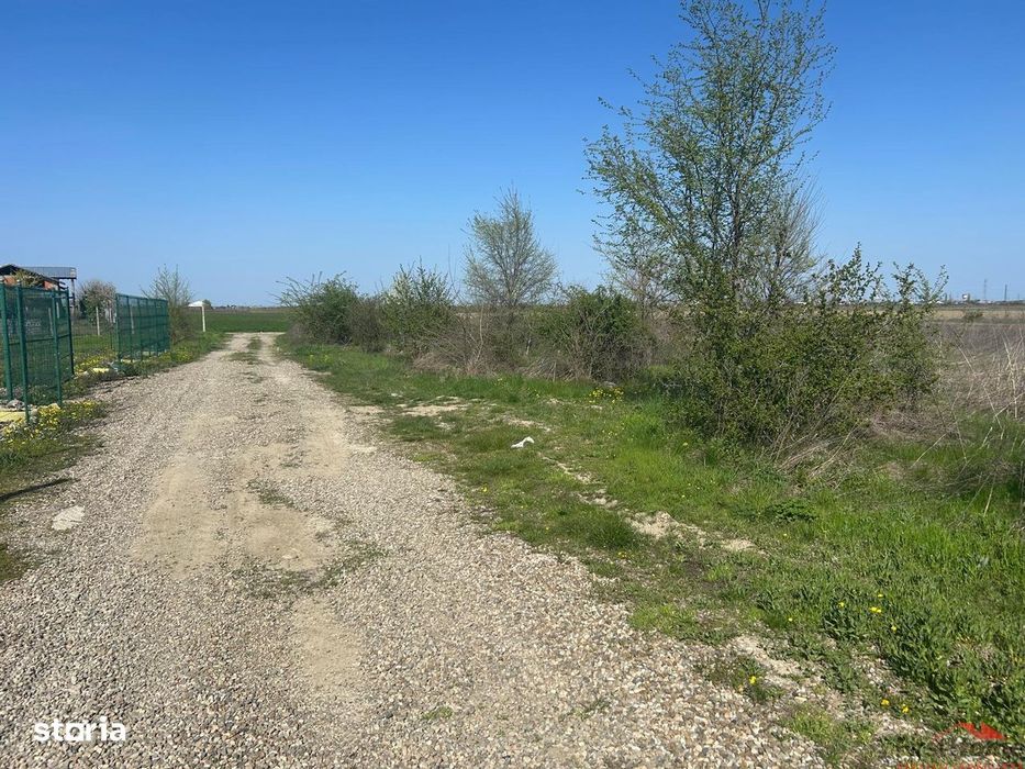 Loturi de teren de vanzare in Campineanca