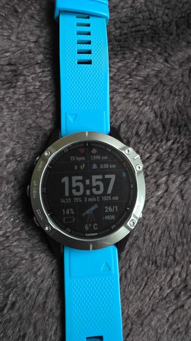 smartwatch garmin fenix 6