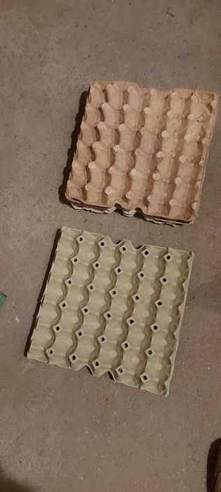 Кори от яйца 300 бр.