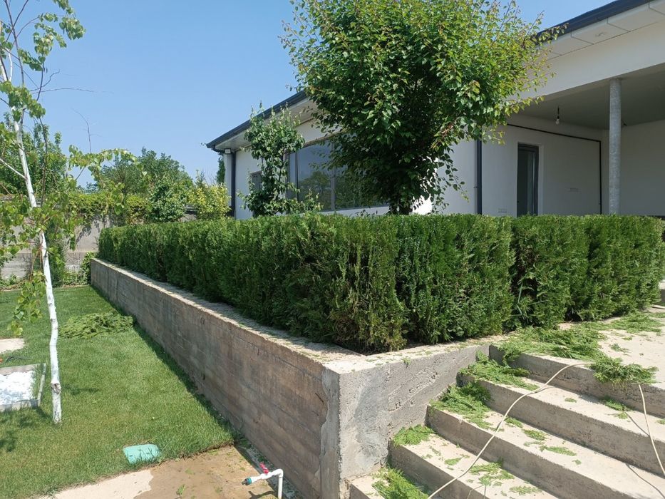 Gazon lanshaft qilamiz