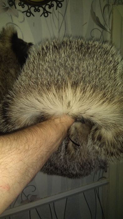 Шапка из меха лисы.