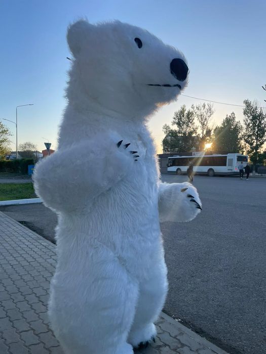 Аниматоры, поздравления, мишка умка