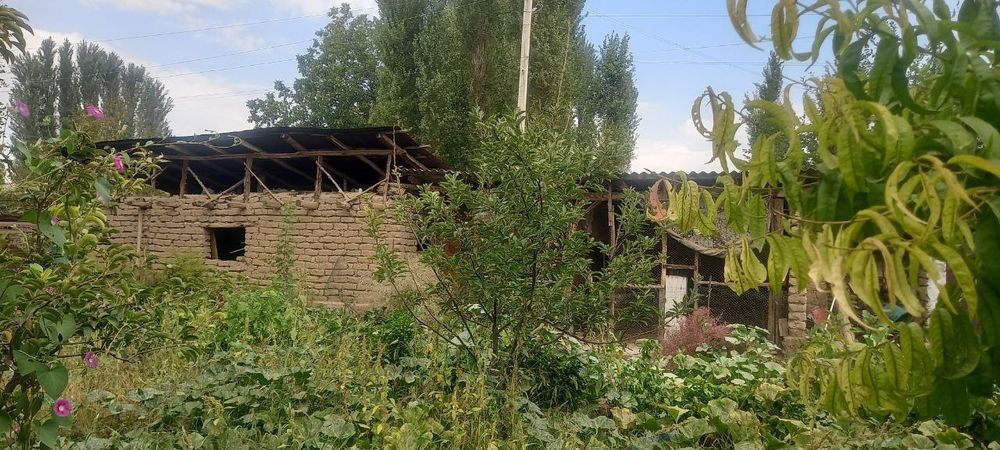 Продаюу 4 Сотик 8000$