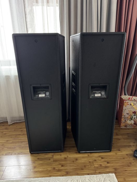 Boxe profesionale Dynacord