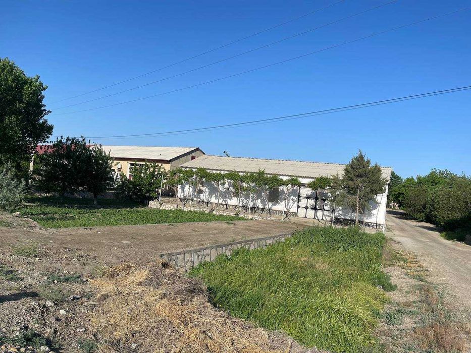 Uchastka tezda sotiladi. Продаётся участка.