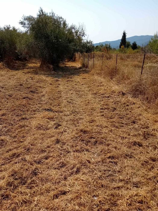 Продава два парцела с обща площ 2222м2 в Паралия Врасна,Северна Гърция