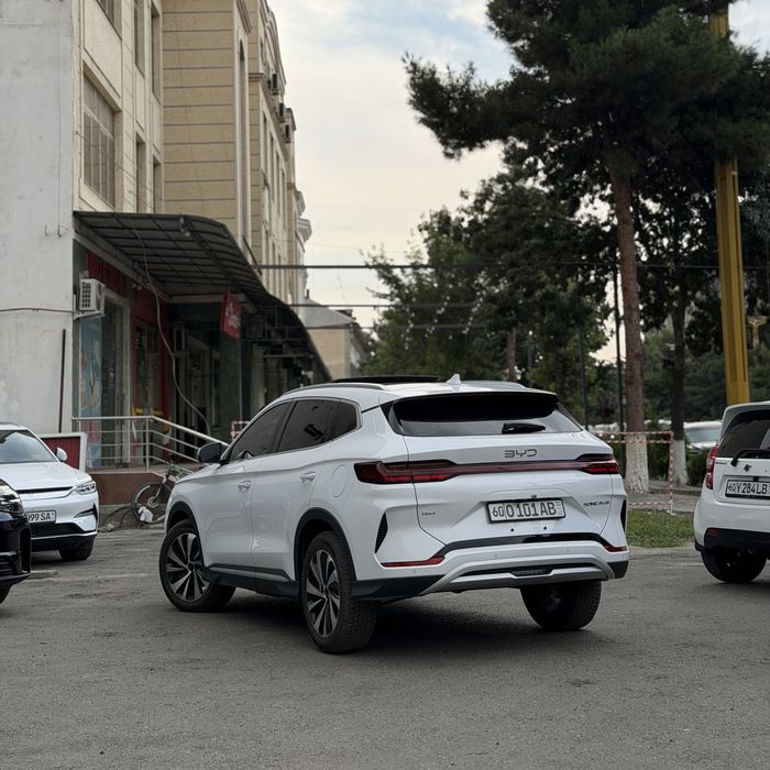 Byd champion 150