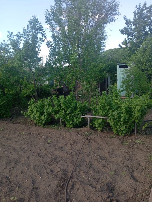 Продам дачу район саздинского водохранилища.