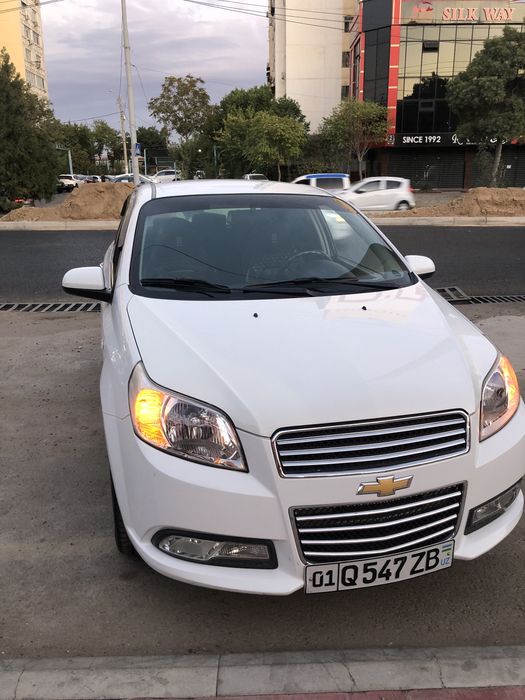 Ozimi moshinammi sotama