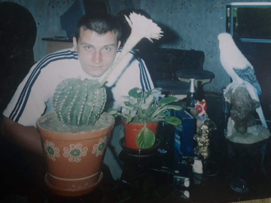 Кактус родом из СССР